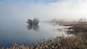 “Kraška polja i ljudi“ i „Samonikle biljke i gljive kraških polja“