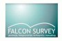 Falcon survey doo Beograd