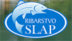 SLAP Rogatica