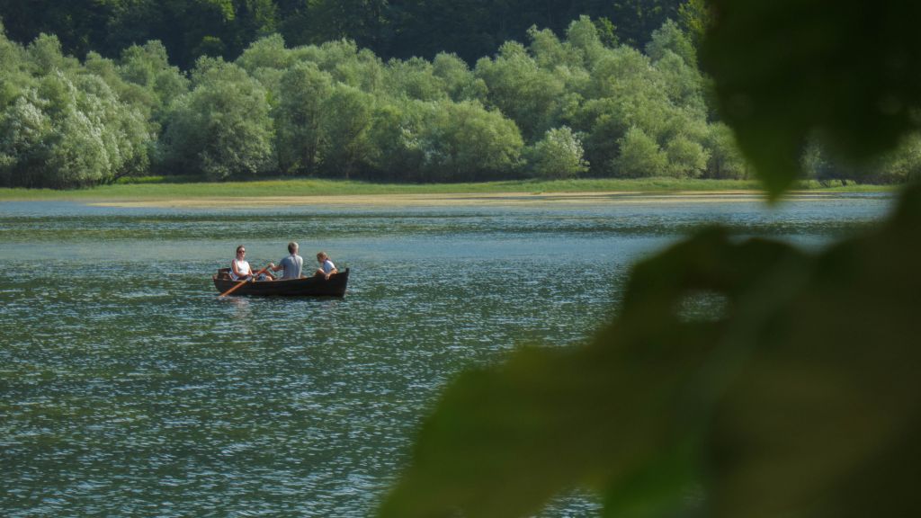 Biogradska gora