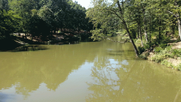 jezero Trešnja kod Sopota