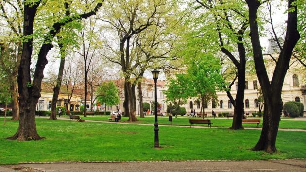 gradski park Požarevac