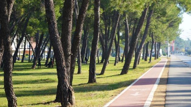 park Tološi Podgorica