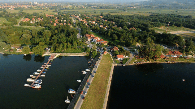 Beli bagrem Srebrno jezero