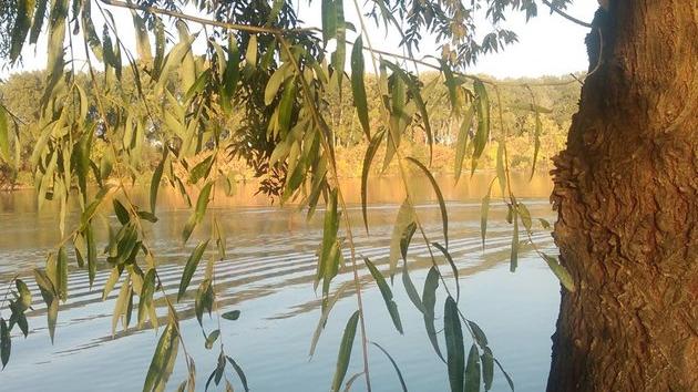 Park prirode Jegrička Temerin Žabalj