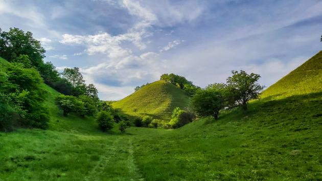 Zagajička brda u Deliblatskoj peščari